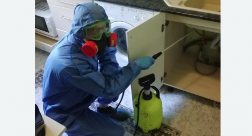 Уничтожение муравьев в квартире. Усть-Лабинск