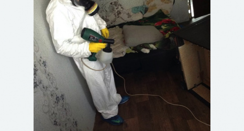 Обработка квартир от насекомых в Усть-Лабинске