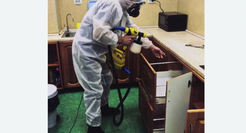 Дезинсекция квартиры. Усть-Лабинск