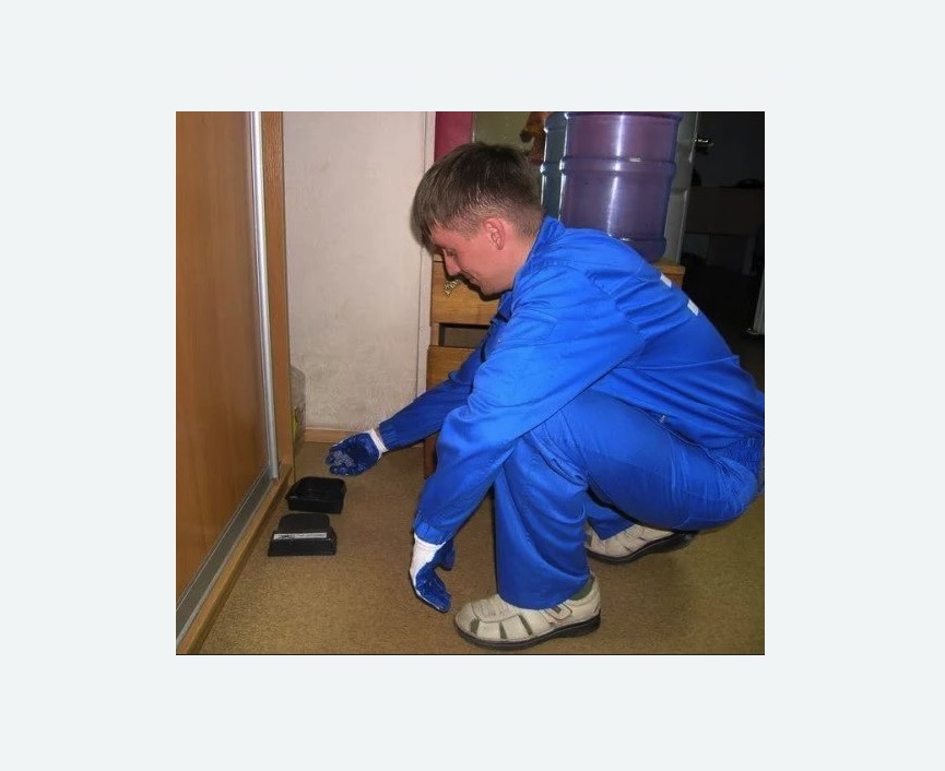 Дератизация крыс в Усть-Лабинске