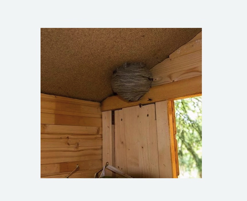 Обработка от ос в Усть-Лабинске Обработка от ос