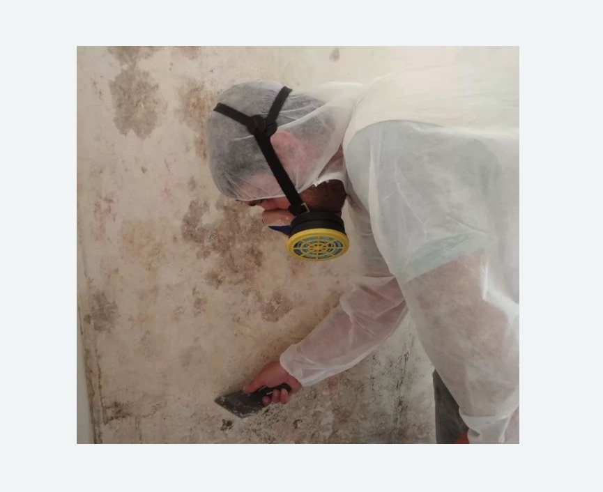 Обработка стен от плесени Обработка стен от плесени в Усть-Лабинске