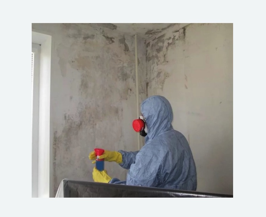 Удаление плесени в квартире Удаление плесени в квартире в Усть-Лабинске