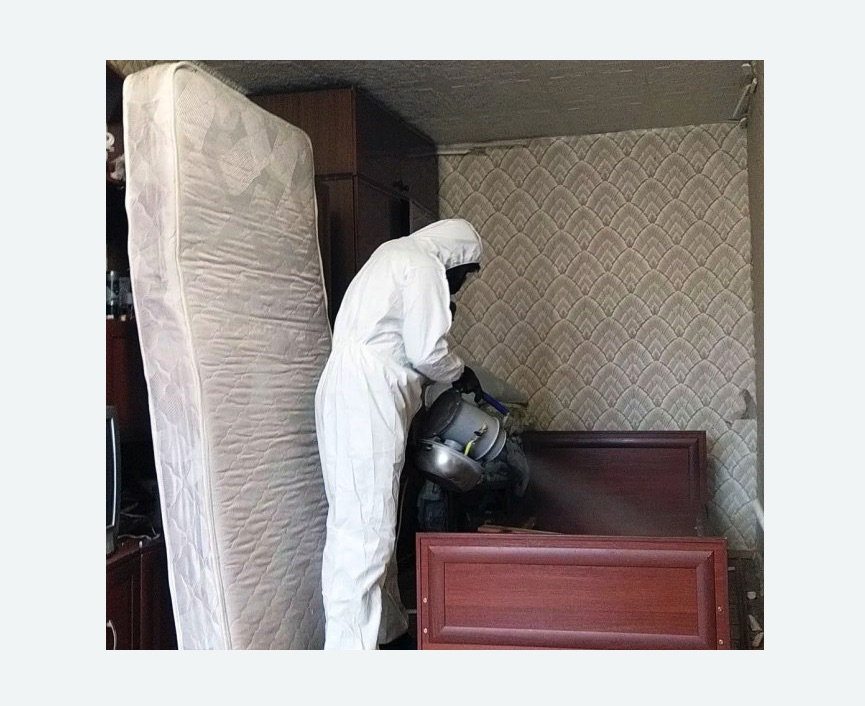 дезинфекция от клопов в Усть-Лабинске