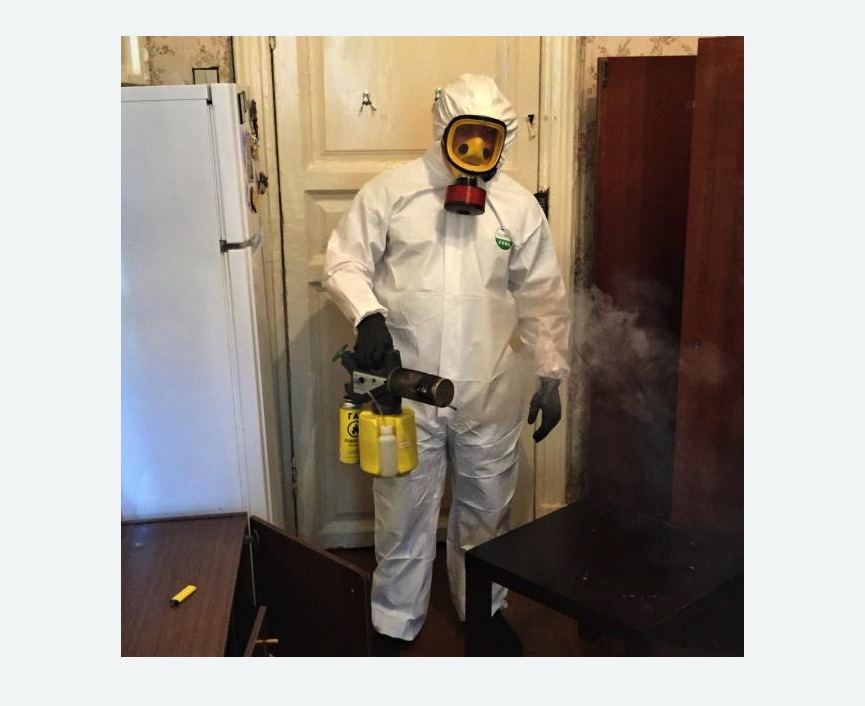 уничтожение муравьев в квартире в Усть-Лабинске